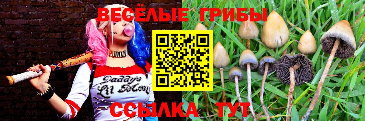 Псилоцибиновые грибы прущие грибы Новый Уренгой